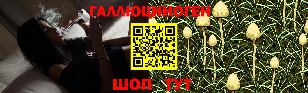 Псилоцибиновые грибы Magic Shrooms Благовещенск